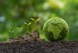 Sustainability